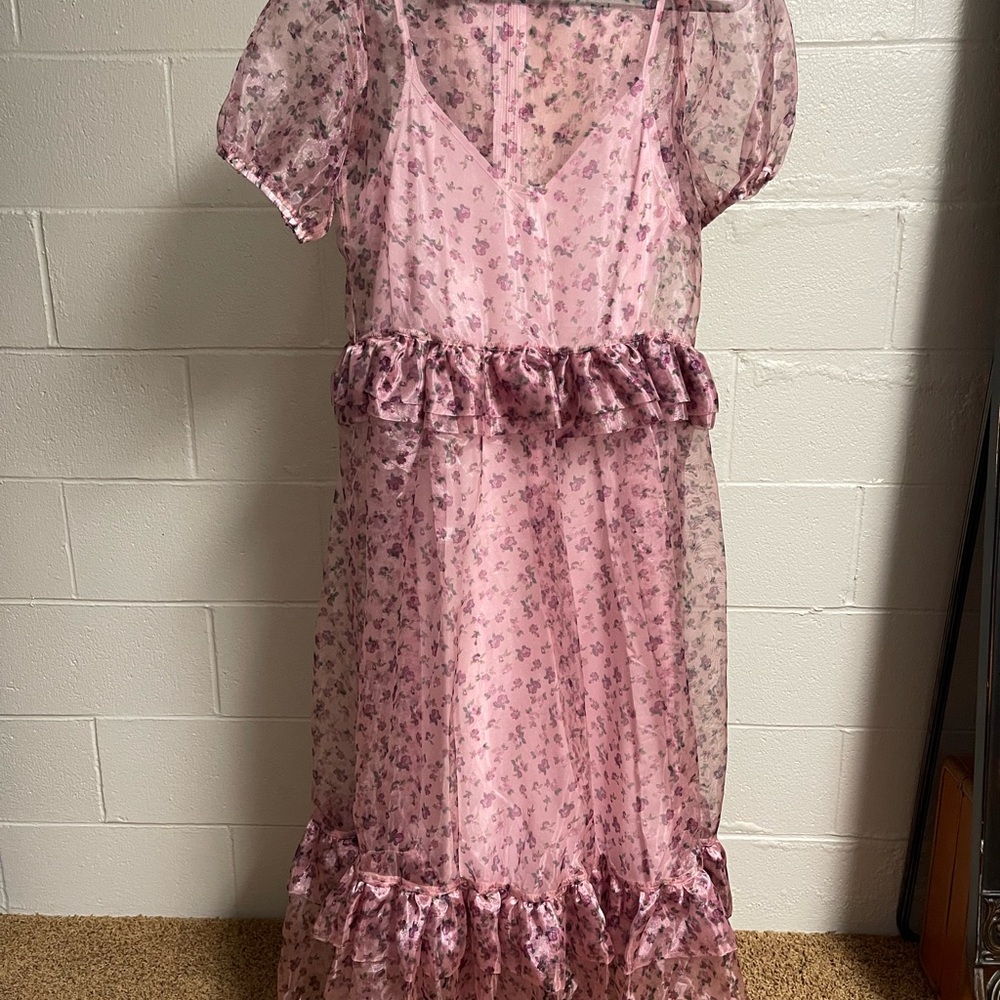 Sister Jane Pink Floral Sheer Dress